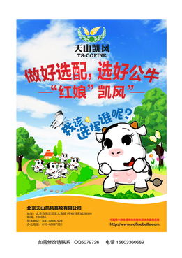 平面廣告設(shè)計(jì) A4紙一頁(yè) POP廣告紙的創(chuàng)作要點(diǎn)